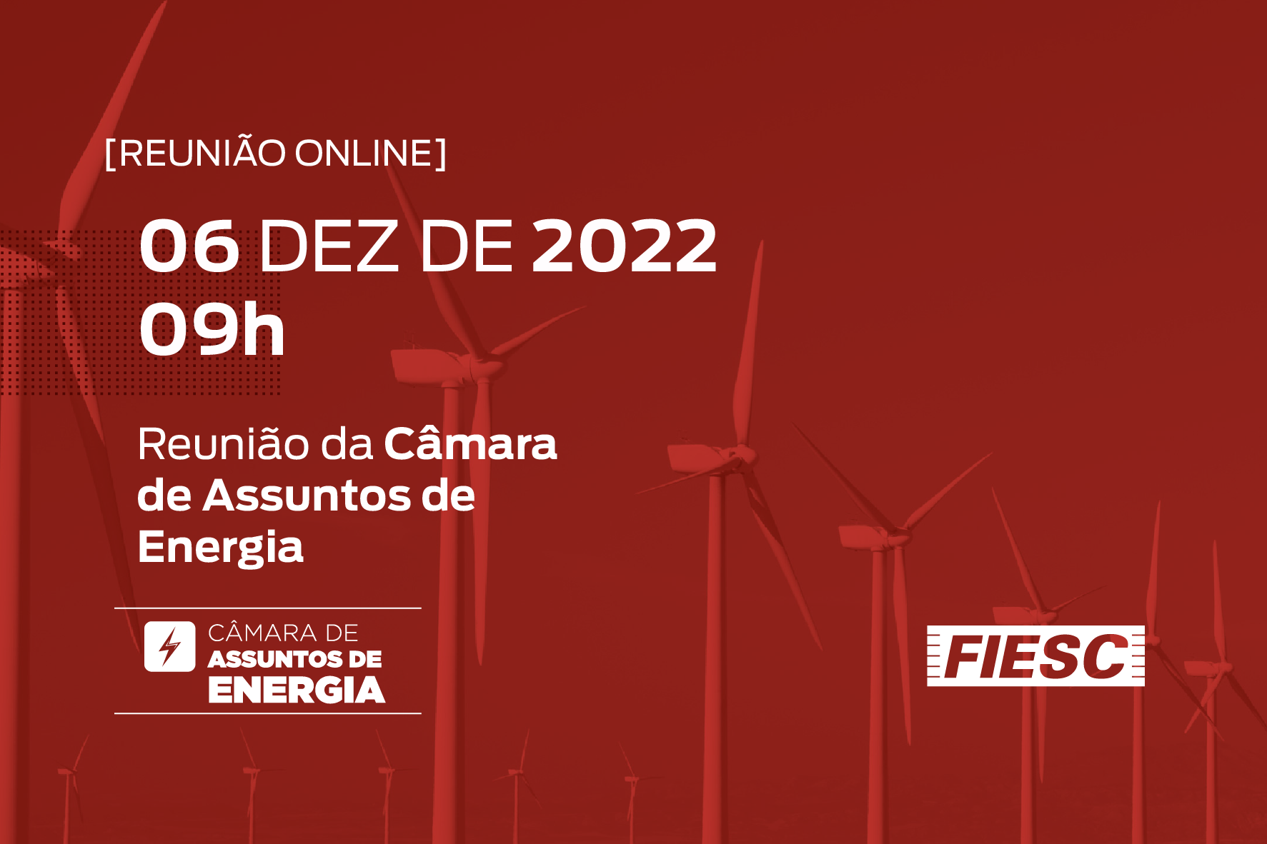 Reunião da Câmara de Assuntos de Energia 