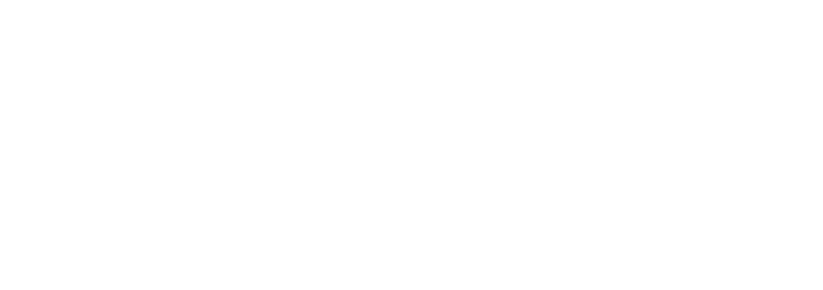 Câmara de Desenvolvimento da Indústria de Tecnologia, Informação e Comunicação