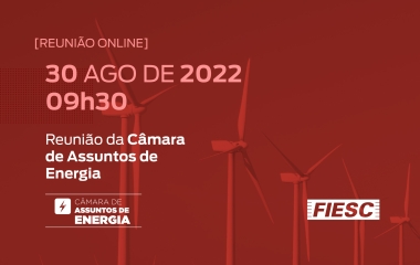 Reunião da Câmara de Assuntos de Energia