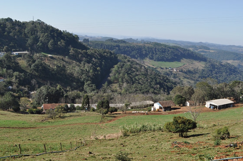 Estado de regeneração