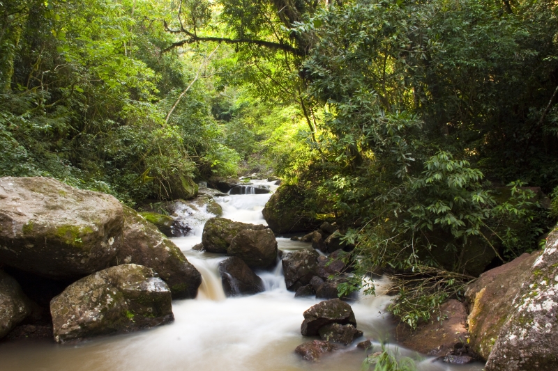 FIESC e Grupo Boticário firmam parceria para conservação da natureza