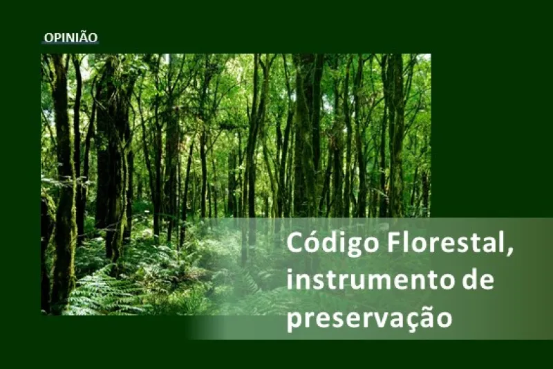 Opinião: Produção integrada em xeque