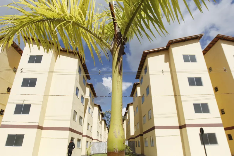 Indústria da construção terá vendas aquecidas com programa habitacional