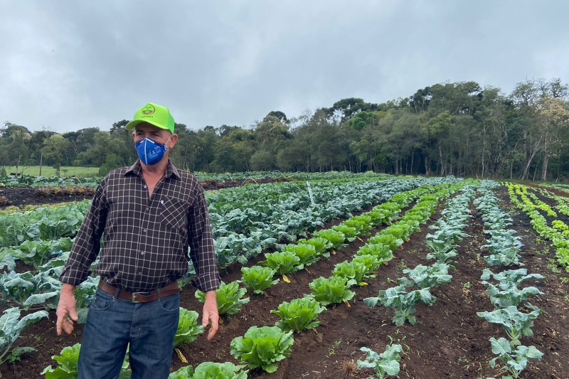 Resíduos industriais viram renda na agricultura