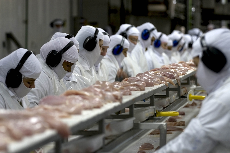 Alimentos está entre os setores que registraram queda no faturamento (foto: Tempo Editorial)