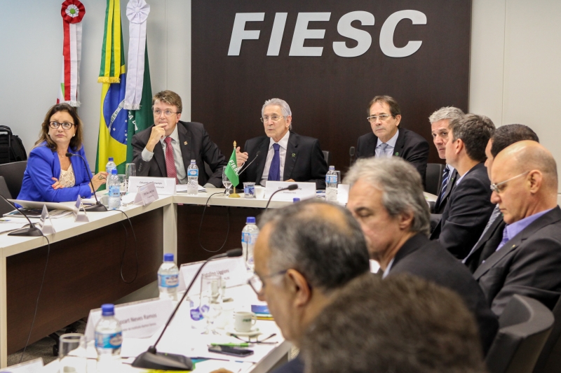 Conselho de Governança do Movimento definiu Plano de Trabalho para período 2015-2017. Foto Heraldo Carnieri